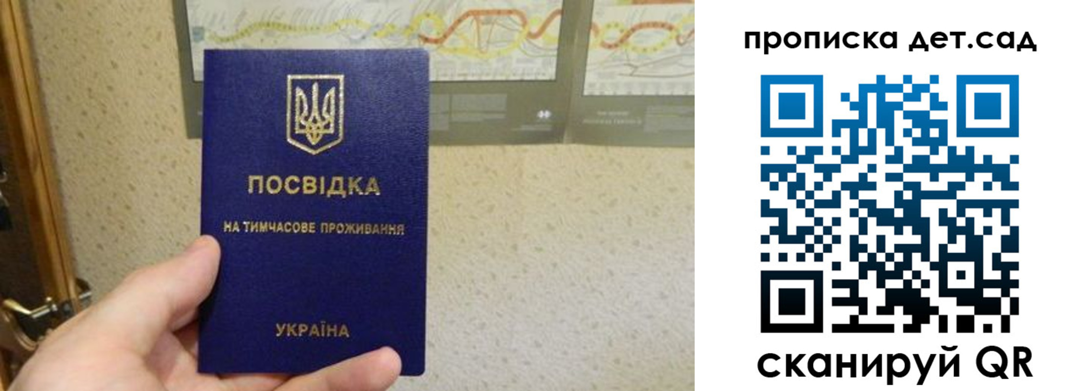 прописка для школы в Курской области