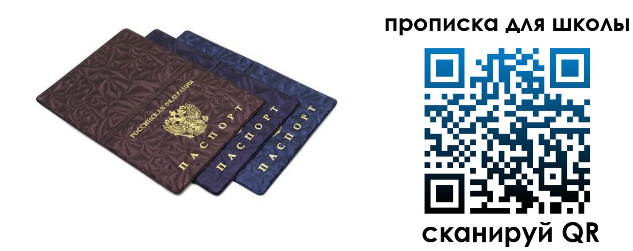 прописка в квартире в Курской области